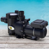 Zodiac E30iQ variable Geschwindigkeits-Pumpe für Schwimmbäder