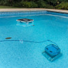 Dolphin Skimmi + Poolbodenreiniger