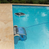 Dolphin Skimmi + Poolbodenreiniger mit Wandkletterfunktion