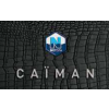 Caiman Spa-Logo