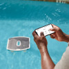 Dolphin Skimmi App-Steuerung
