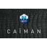 Caiman Spa-Logo